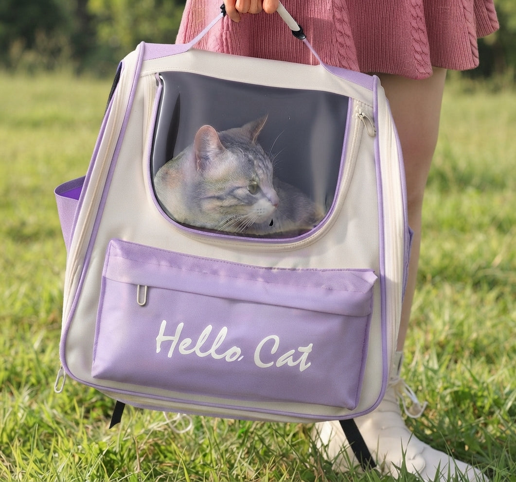 See-Through Cat Adventure Backpack