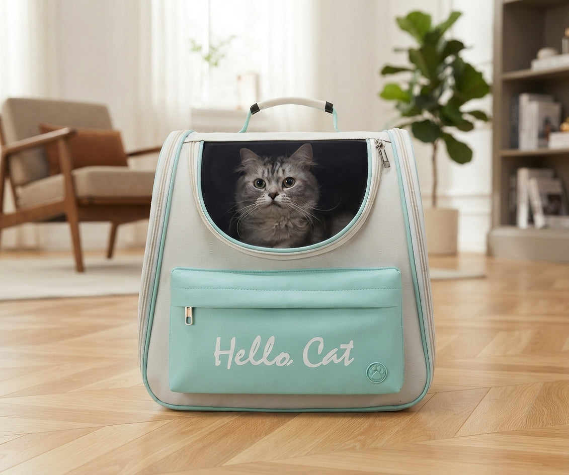 See-Through Cat Adventure Backpack