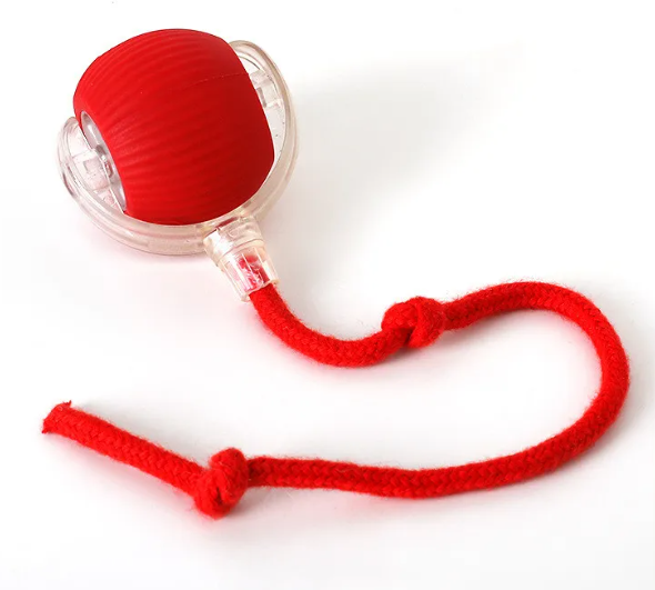Red ball with a red rope on a white background