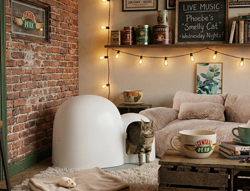 Large closed cat litter box with odor control, White