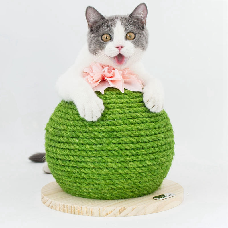 Cactus Sisal Cat Scratching Post, photo 2
