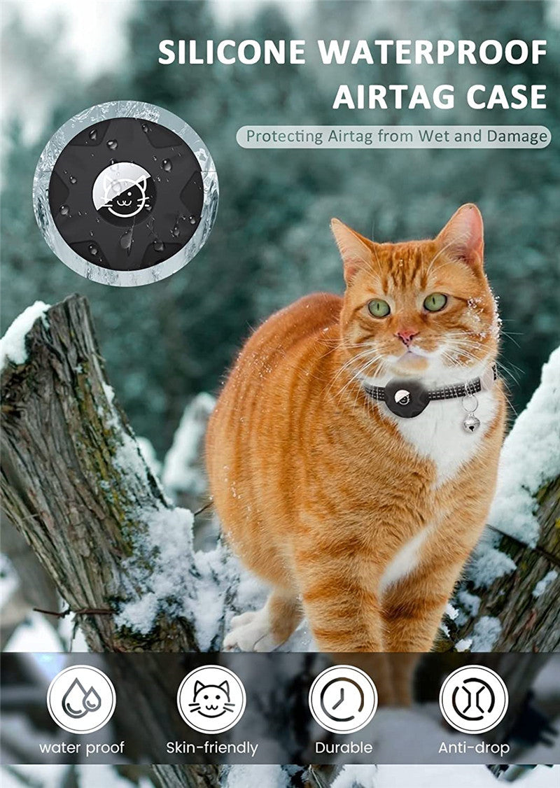Cat wearing the AirTag collar outdoors in the snow