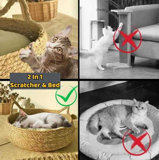 Cats scratching and napping in the woven basket bed