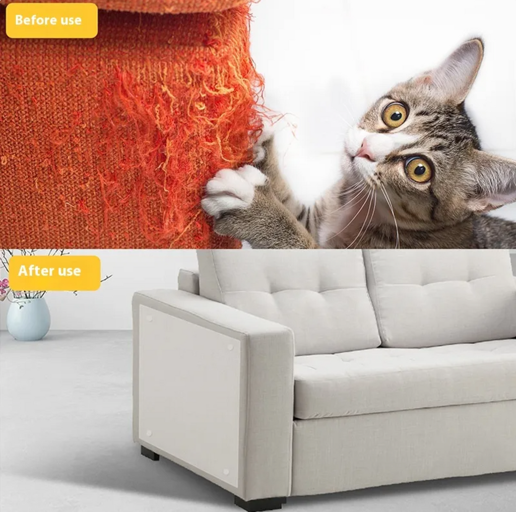 Shredded sofa before and protected sofa after