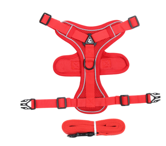 Red reflective cat harness with matching leash