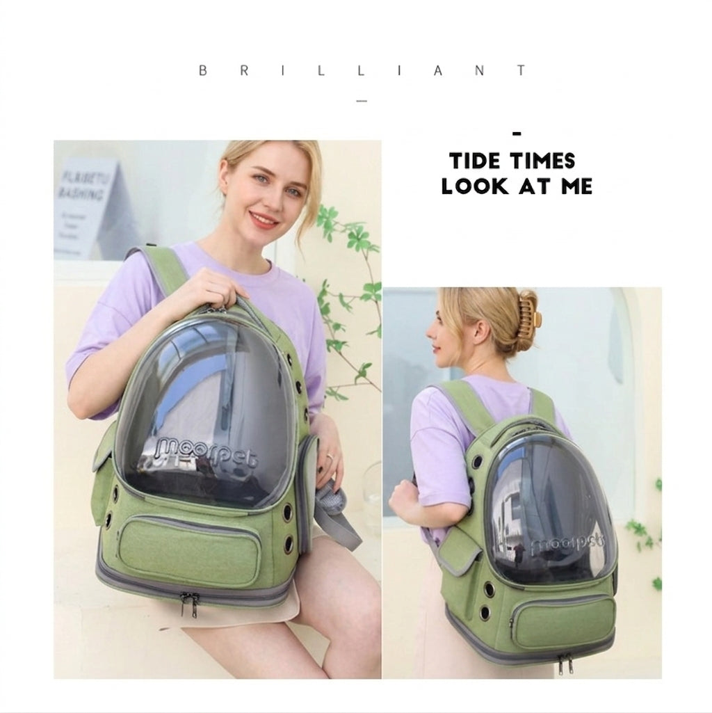 Cat sitting inside transparent travel carrier bag