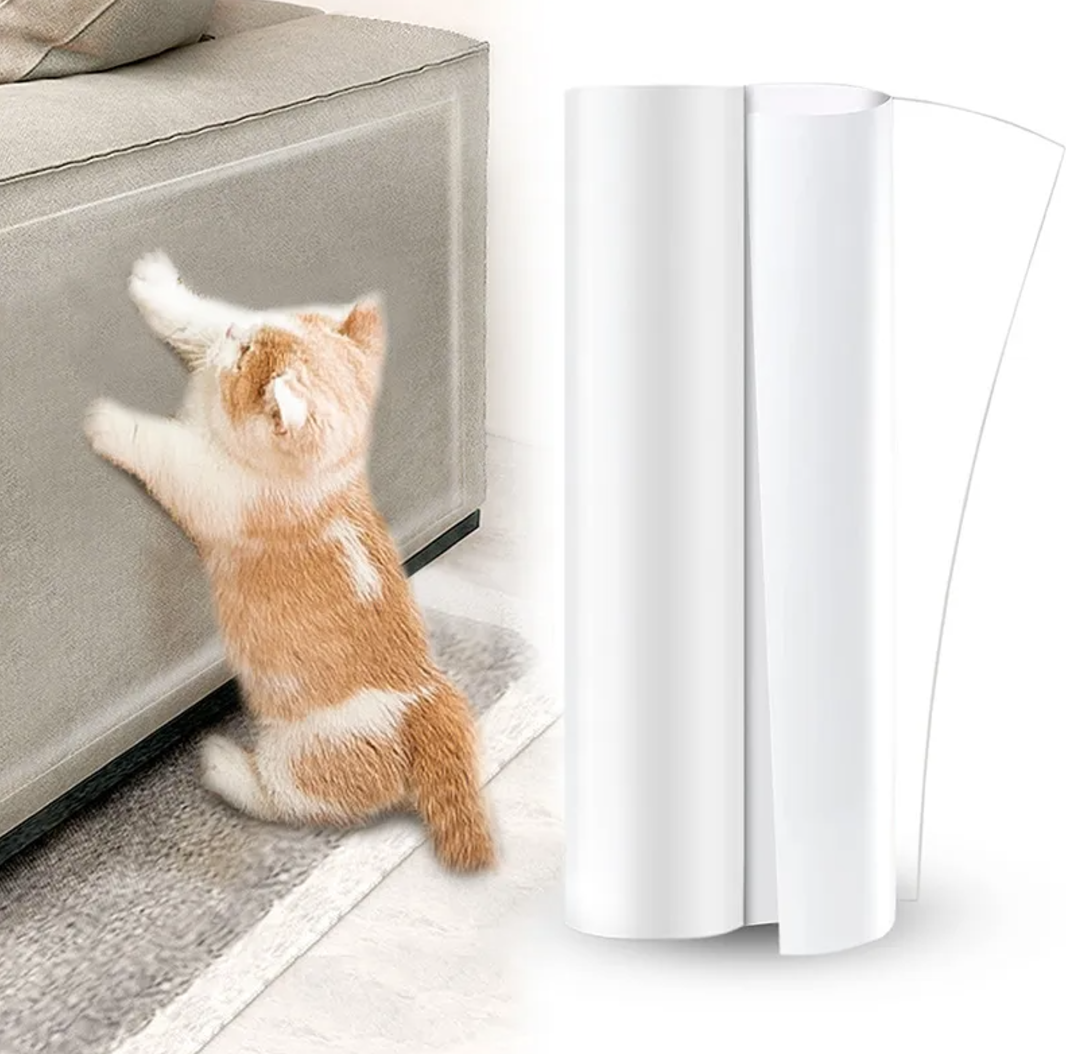 Cat reaching up a sofa with the clear protector film