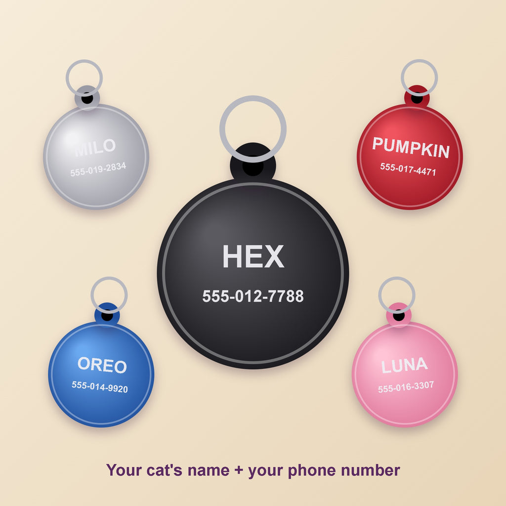 Engraved cat ID tags in black, silver, red, blue and pink with names and phone numbers (illustration)