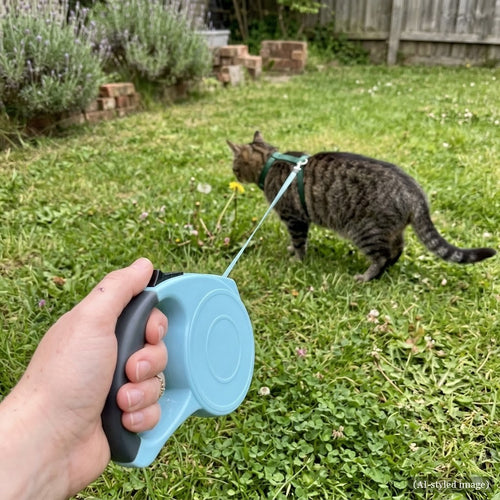 Blue retractable leash in hand while a harnessed cat explores the lawn (AI-styled image)