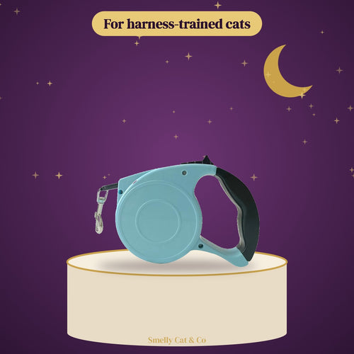 Blue retractable cat leash on a plum podium