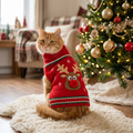 Orange tabby cat wearing the red Rudolph reindeer Christmas sweater by the tree (AI-styled image)